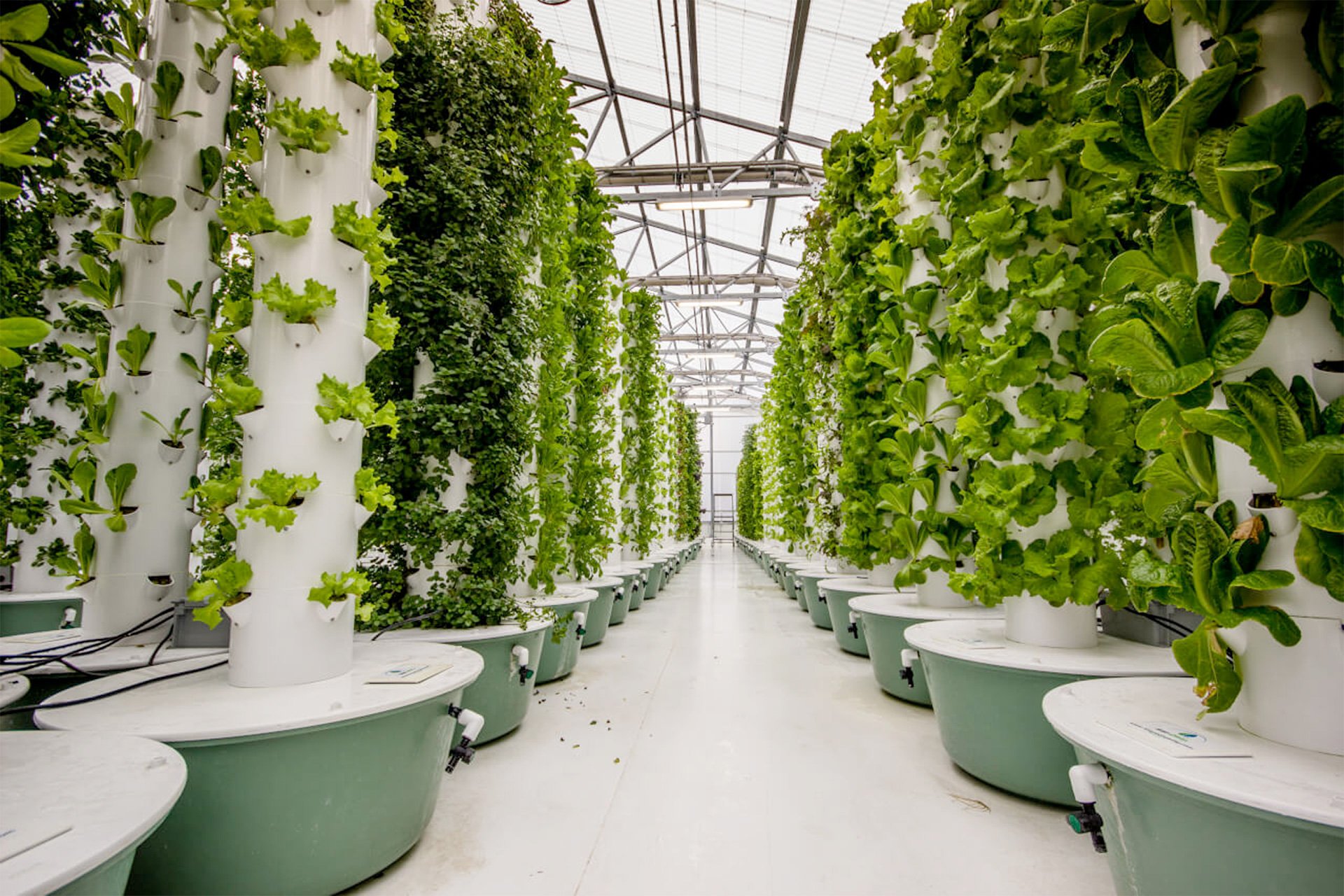Vertical Farming Aeroponic Towers
