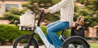 Lectric XP Trike2