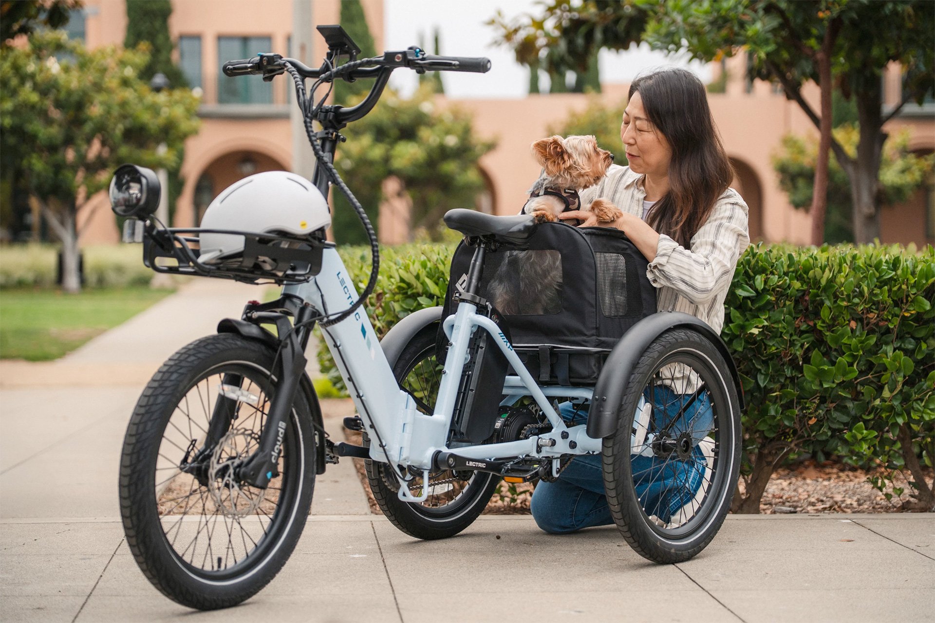 Lectric XP Trike2 Cargo Rack
