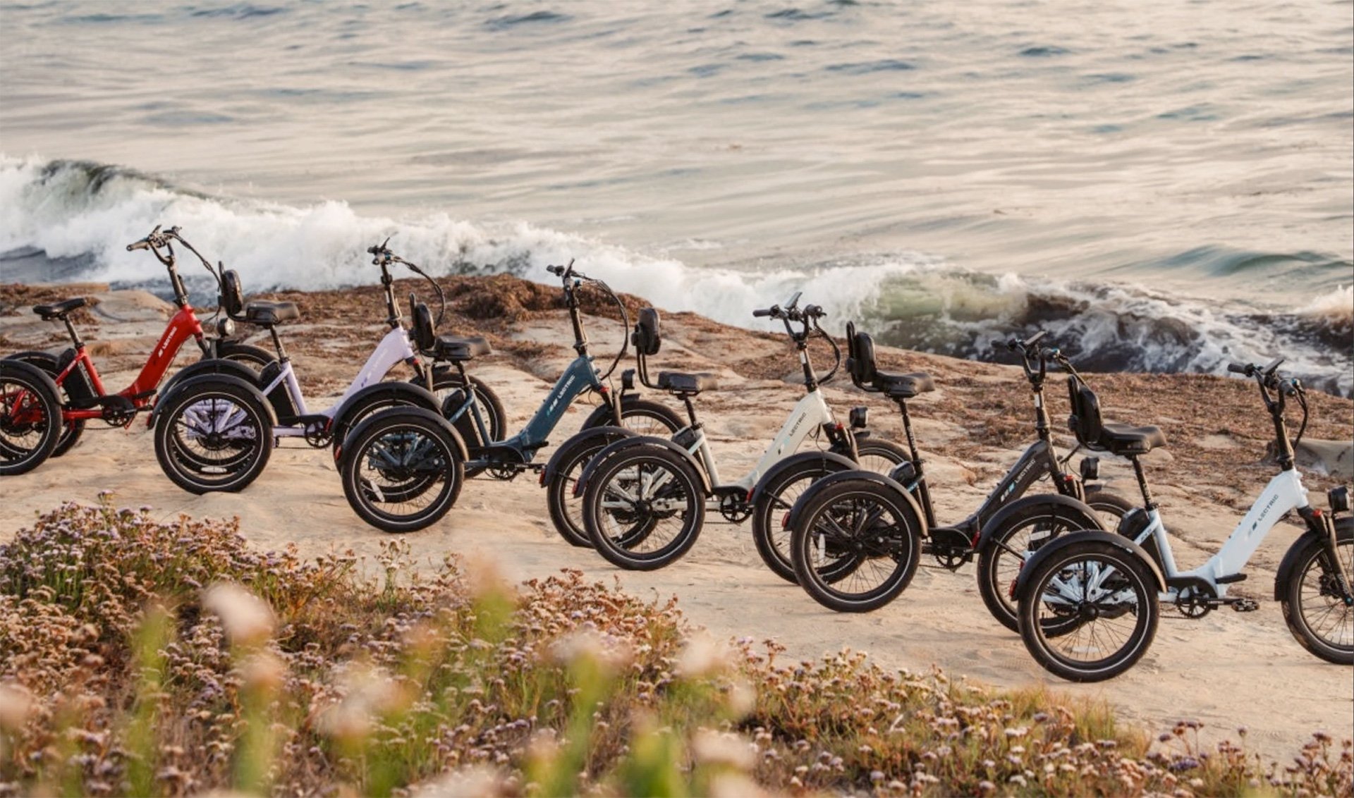 Lectric XP Trike Colorways