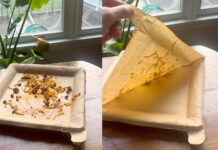 Peelware Peel Plate Reusable Dinnerware