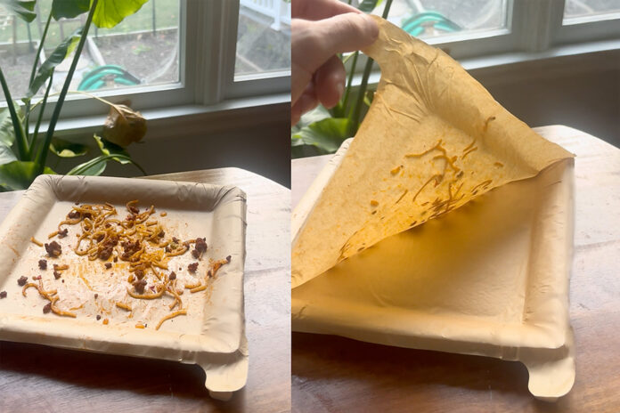 Peelware Peel Plate Reusable Dinnerware