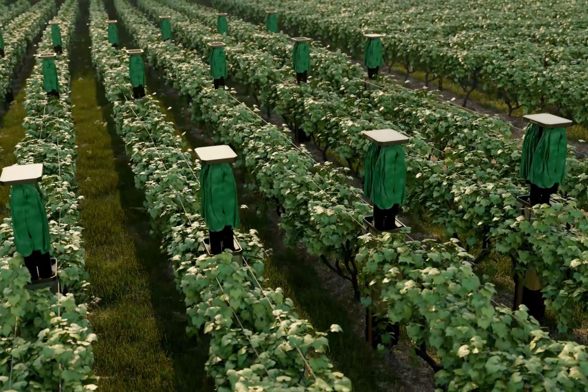Bienesis Smart Vineyard Canopy Hidden