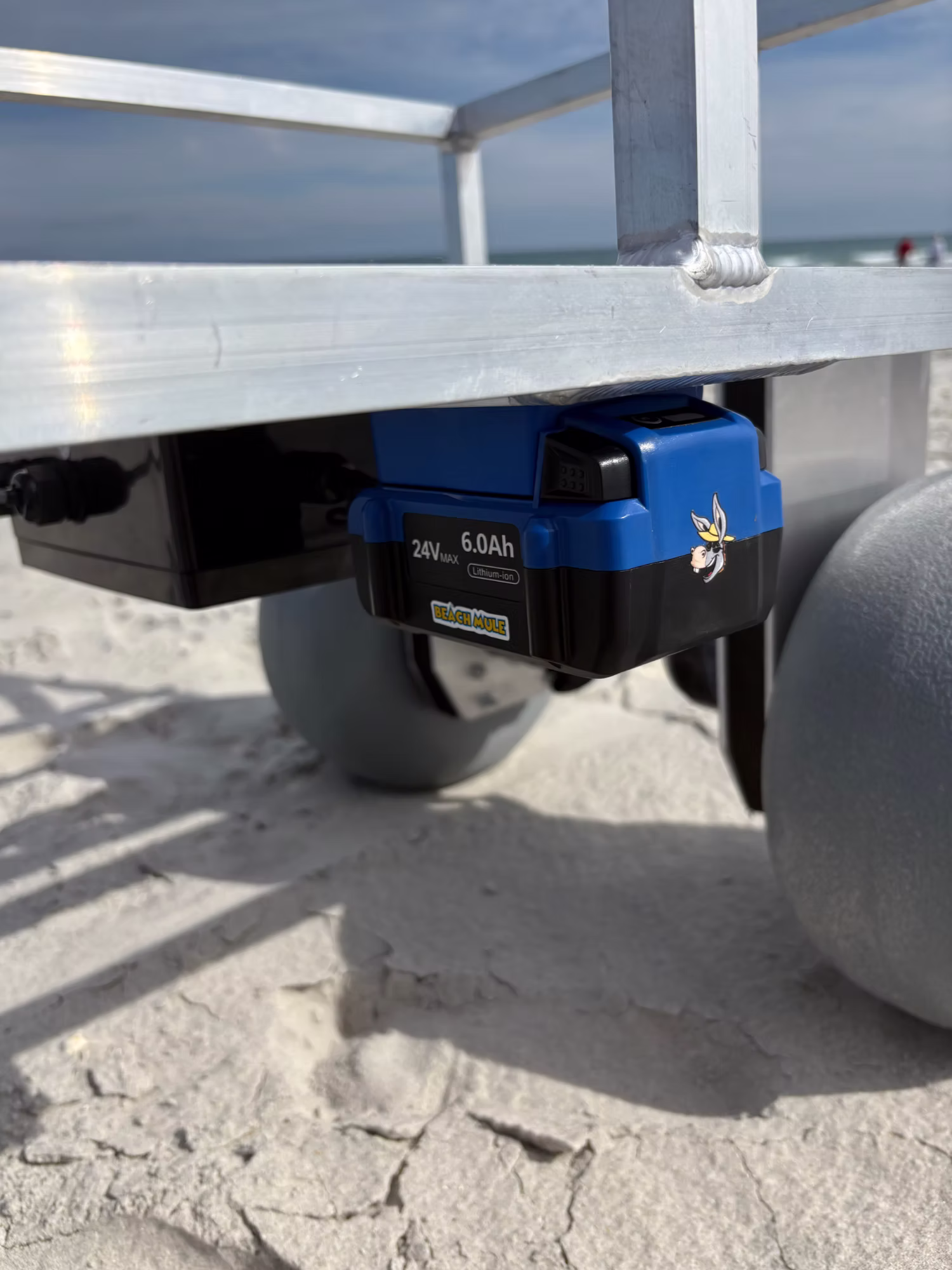 The Beach Mule Batteries