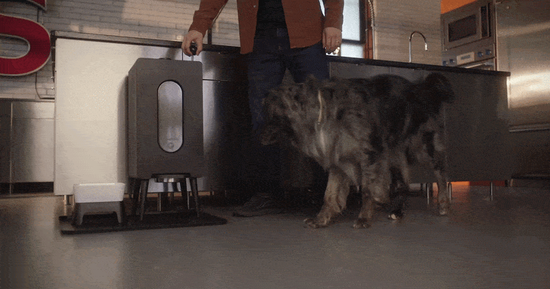 Houndsy Kibble Dispenser Manual Lever