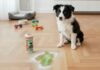PipiDry Pet Accident Cleanup Powder