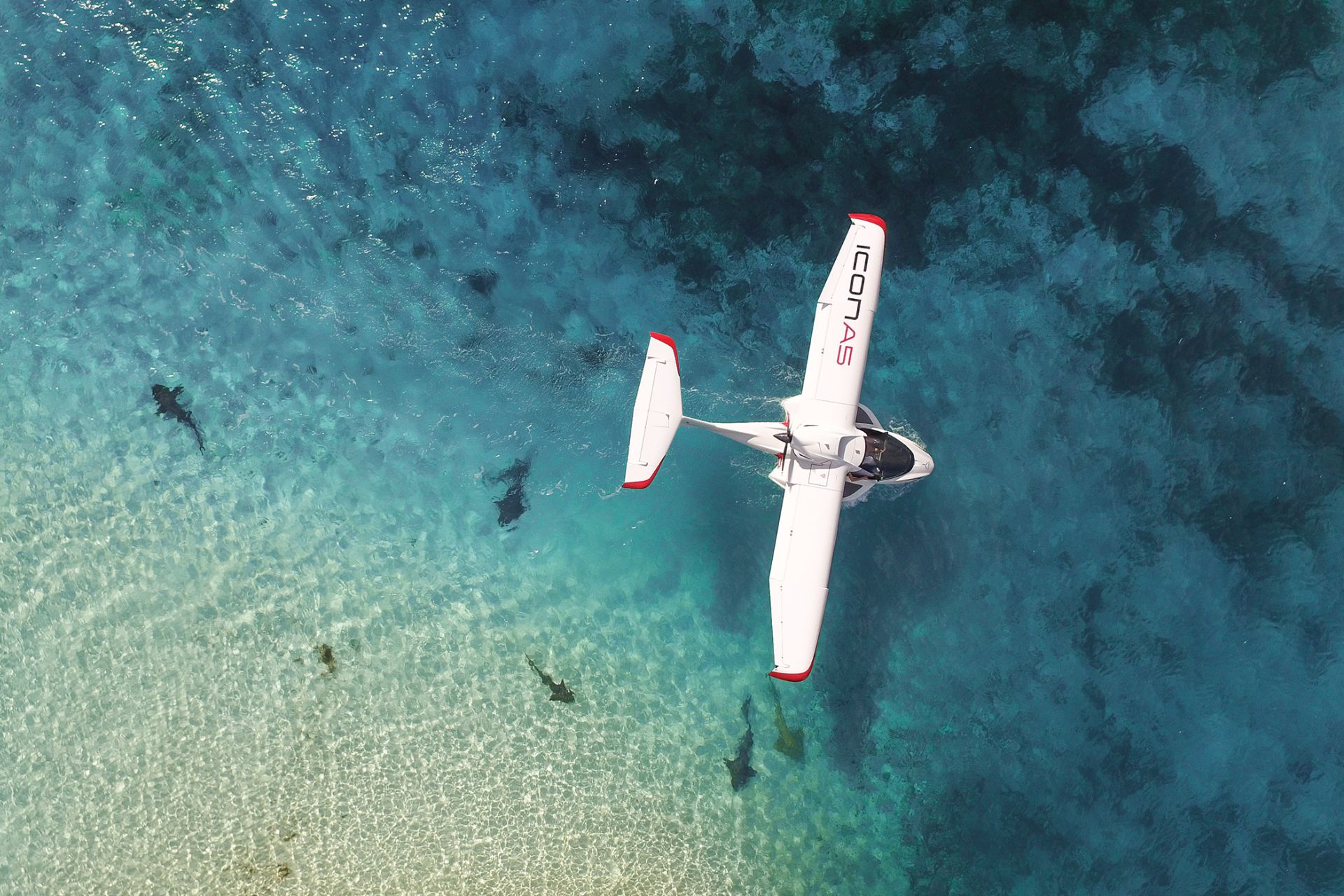 ICON A5 Amphibious Airplane on Water