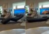 Moto Motion Recliner Lounge Chair