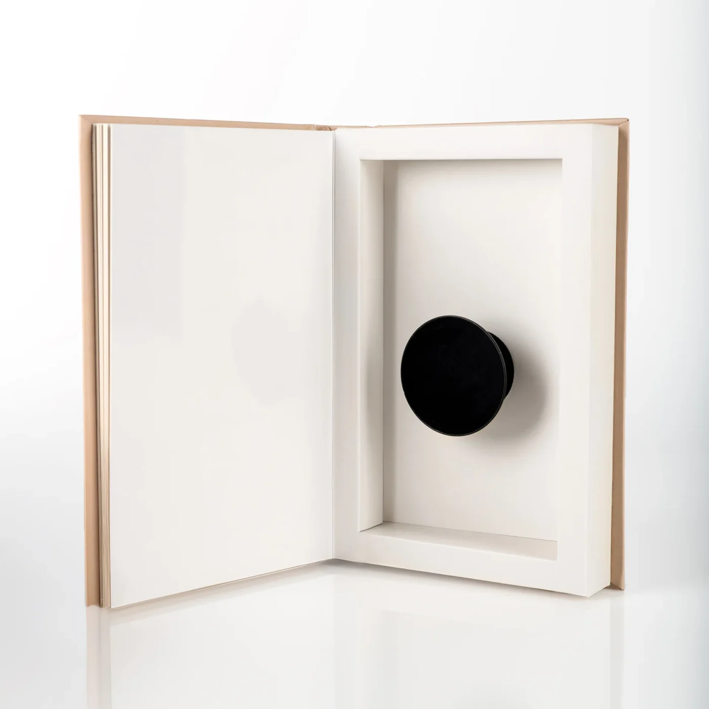 Peek A Book Concealed Compartment