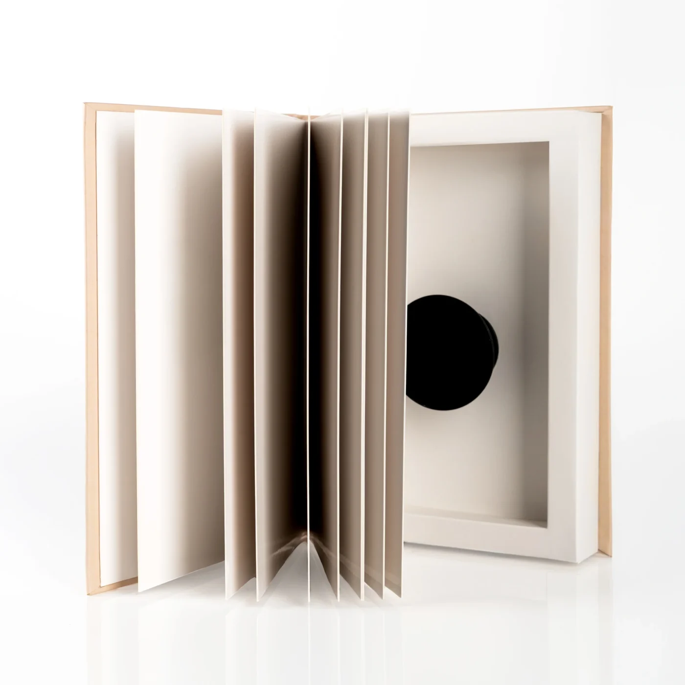Peek A Book Dual Use