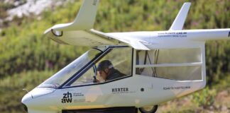 Ruppert Archaeopteryx Composite Sailplane