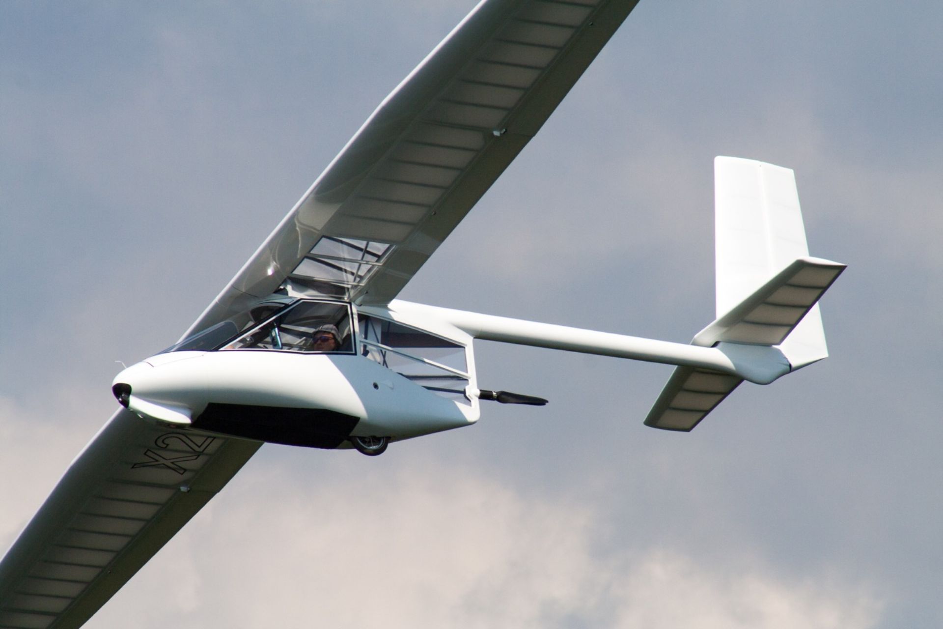 Ruppert Archaeopteryx Composite Sailplane Weight