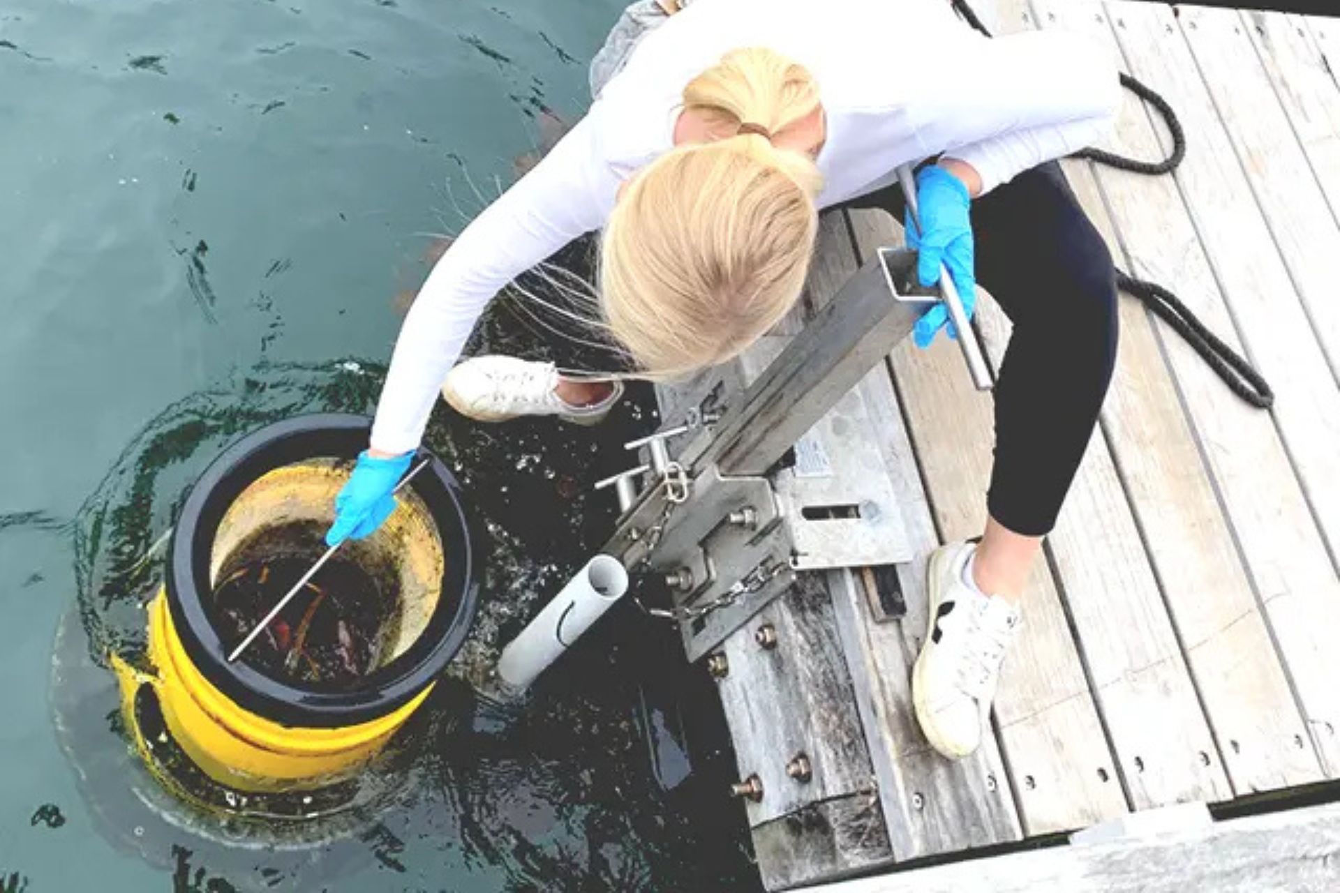 Seabin Floating Marine Cleanup System Marina Use