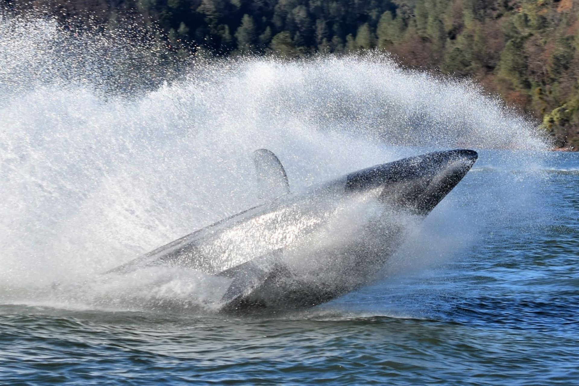 Seabreacher Z Positively Buoyant