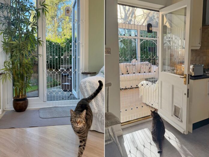 Cat-G8 Full Height Cat Gate