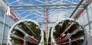 Giant rotating rigs carrying strawberry plants inside Dyson Farming’s Lincolnshire glasshouse