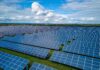 Field of photovoltaic solar panels representing the growing need for solar panel recycling