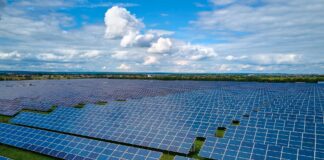 Field of photovoltaic solar panels representing the growing need for solar panel recycling