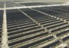 Solar becomes Utah’s largest source of electricity for the first time Aerial view of rows of solar panels at a large solar farm in Utah