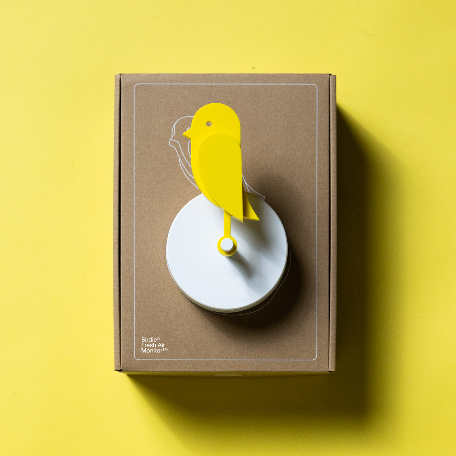 Yellow Birdie 2.0 CO2 monitor displayed on its retail packaging