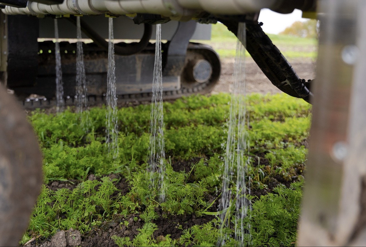 Roboton Farmer irrigation outlets watering rows of young vegetable plants